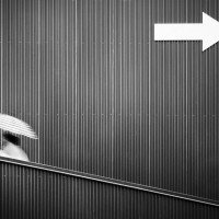 The-wrong-way-mario-mencacci